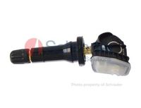 Radsensor, Reifendruck-Kontrollsystem