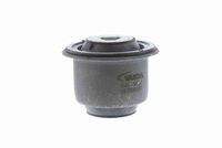 тампон, носач