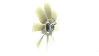 Thumbnail - Koelventilatorwiel - CFF505000P - MAHLE