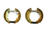 BOSCH Remschoenset 1