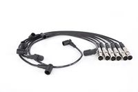 Ignition Cable Kit