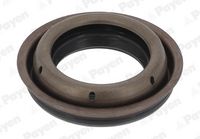 Wellendichtring, Differential