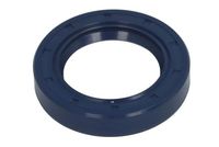 Gasket, differential