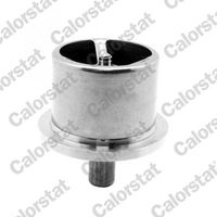 Thermostat, Kühlmittel