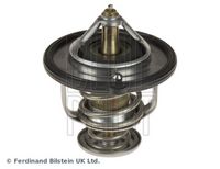 Thermostat, Kühlmittel