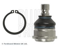 Trag-/Führungsgelenk