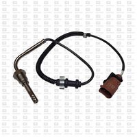 Sensor, Abgastemperatur