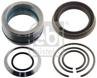 SET REPARATIE CILINDRU BASCULARE