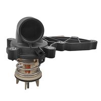 Thermostat, Kühlmittel