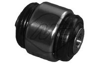 тампон, носач