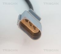 Article Picture