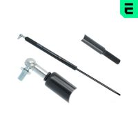 GASFEDER FLüGELTüR