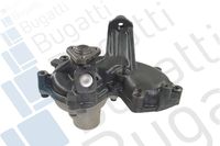 Wasserpumpe, Motorkühlung