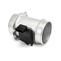 DELPHI Luchtmassameter 4