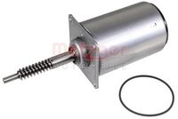 Stellelement, Exzenterwelle (variabler Ventilhub)