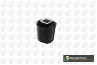 тампони на моста