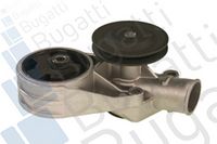 Wasserpumpe, Motorkühlung