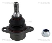 Trag-/Führungsgelenk