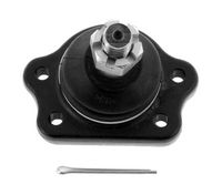 Trag-/Führungsgelenk