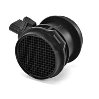 DELPHI Luchtmassameter 6