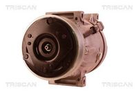 Compresor, climatizare TRISCAN, Cod: 9020 14022