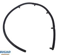 Schlauch, Leckkraftstoff