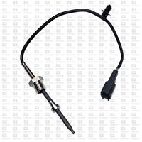 Sensor, Abgastemperatur
