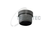 BUCSA DE GHIDARE CHIULASA