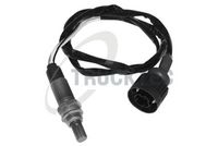 ламбда-сонда