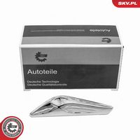 ORNAMENT SEMNALIZATOR