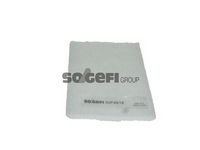 Филтър купе (поленов филтър)