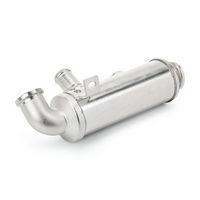 AGR-модул 4198E0036 RIDEX