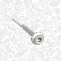 Thumbnail - Schroef, inspuitstukhouder - BS0044 - ET ENGINETEAM