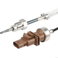 Sensor, Abgastemperatur
