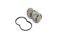 Thermostat, Kühlmittel