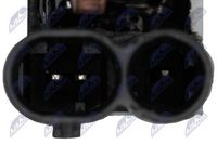 Article Picture