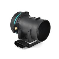 DELPHI Luchtmassameter 5