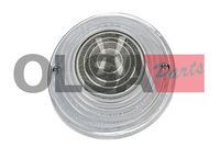 OLSA Aftermarket Knipperlicht 2