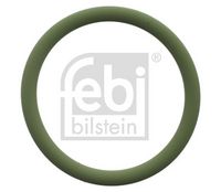 Dichtung, Kühlmittelflansch