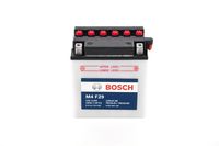 Starterbatterie