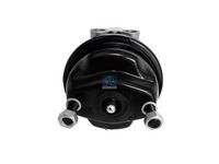 DT Spare Parts Veeraccumulator remcilinder 3