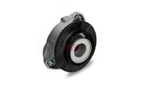 Reparatursatz, Federbeinstützlager