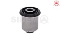 Mounting, control/trailing arm