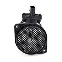 DELPHI Luchtmassameter 3