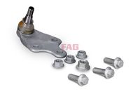 Trag-/Führungsgelenk