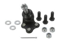 Trag-/Führungsgelenk