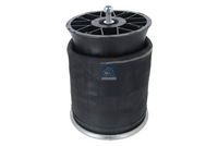 DT Spare Parts Veerbalg, luchtvering 3