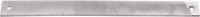 Feilenblatt Feilenblatt