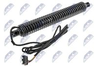 Gas Spring, tray (boot/cargo bay)