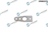 Blīve, Eļļas noliešana (Kompresors) DRM02576 Dr